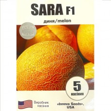 CAPA / SARA CAPA / SARA